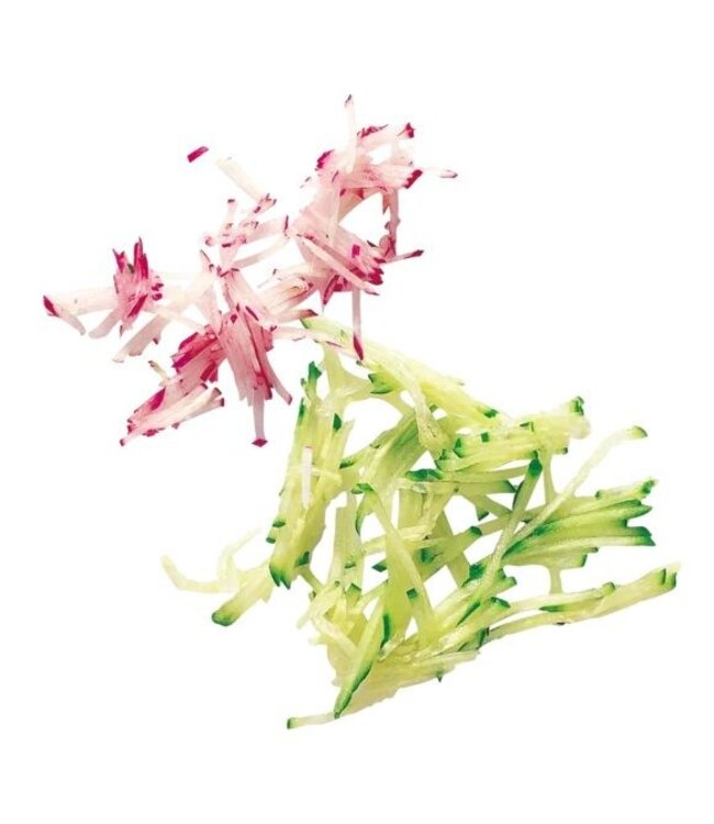 Robot Coupe schijf 27599 - staafjes 2x2mm