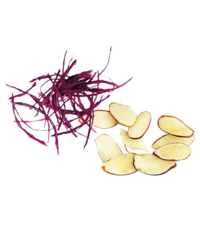 Robot Coupe schijf 28166W - amandelen 0,6mm