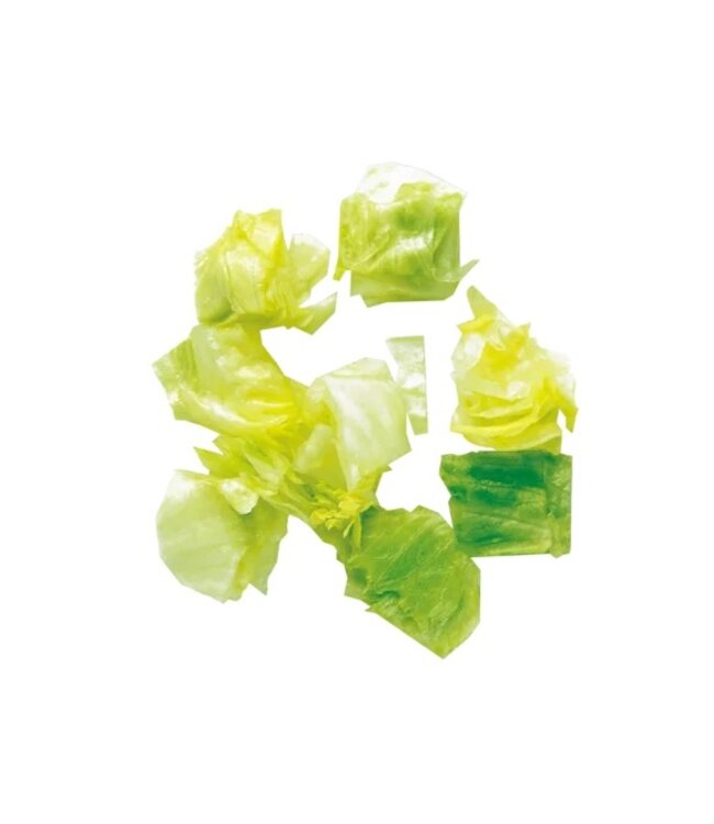 Robot Coupe schijf set 28180W - blokjes 50x70x25mm - salade