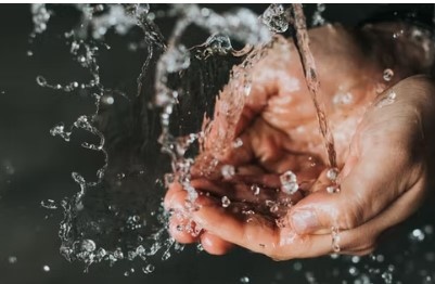 Hygiënisch werken in de horeca: hoe zorgt u hiervoor?