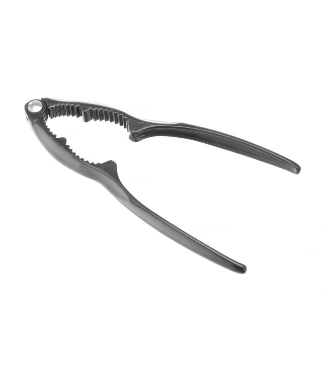 Noten- en zeevruchtenkraker