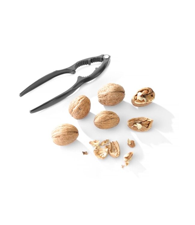 Noten- en zeevruchtenkraker