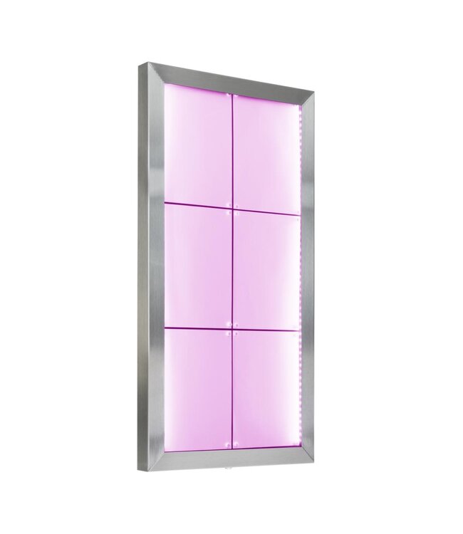 RVS Menukast met gekleurde LED verlichting | 6x A4 | Wandmodel | 78x50,7x5cm