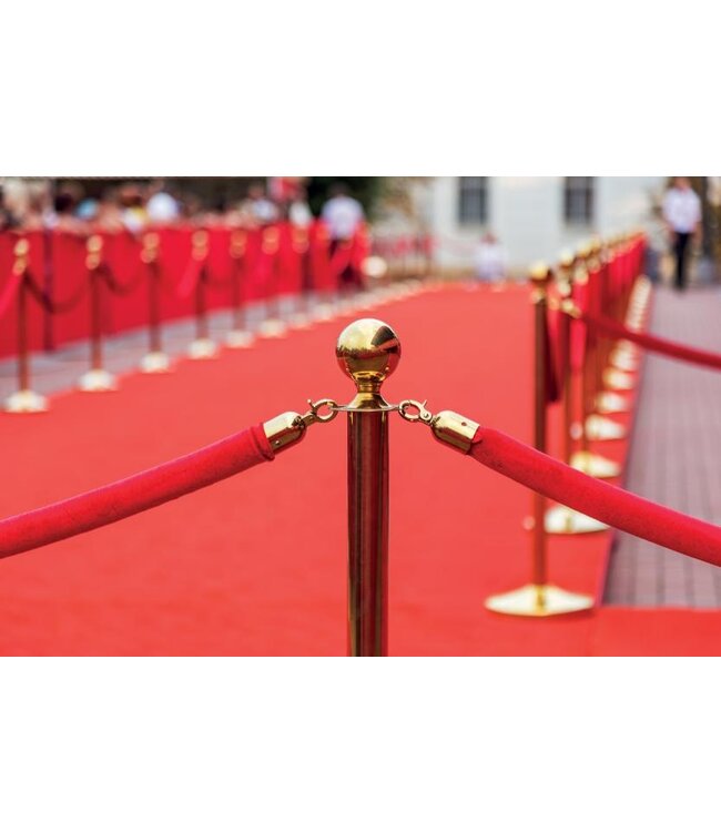 Afzetpaal | Classic | Goudkleurig | RVS | 31x31x95cm