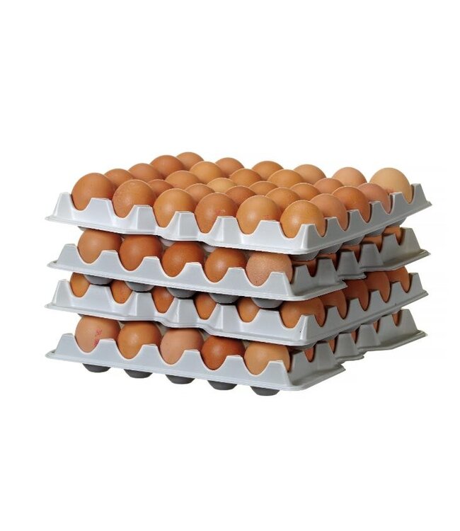 Set van 4 eierbakken voor eiercontainer OVOBOX 120