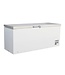Saro Vrieskist BD 601 S | -18 °C | 584L | RVS Klapdeksel | Met wielen