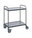 Saro RVS Serveerwagen SW 2 | 2 Bladen | 80x50cm | Flat pack