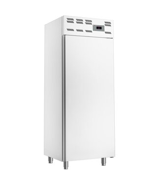 Diverso By Diamond Bakkerij vrieskast Diverso | 500L | 20x 600x400mm | Wit | (H)197x(B)72,5x(D)67,5cm
