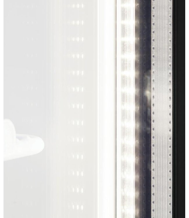 Display koelkast FS890H | 2 Glazen deuren | 707L | (H)199x(B)89x(D)74cm