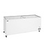 Tefcold Vrieskist IC701SC | 670L | -24 tot -14 graden | Glazen schuifdeksel