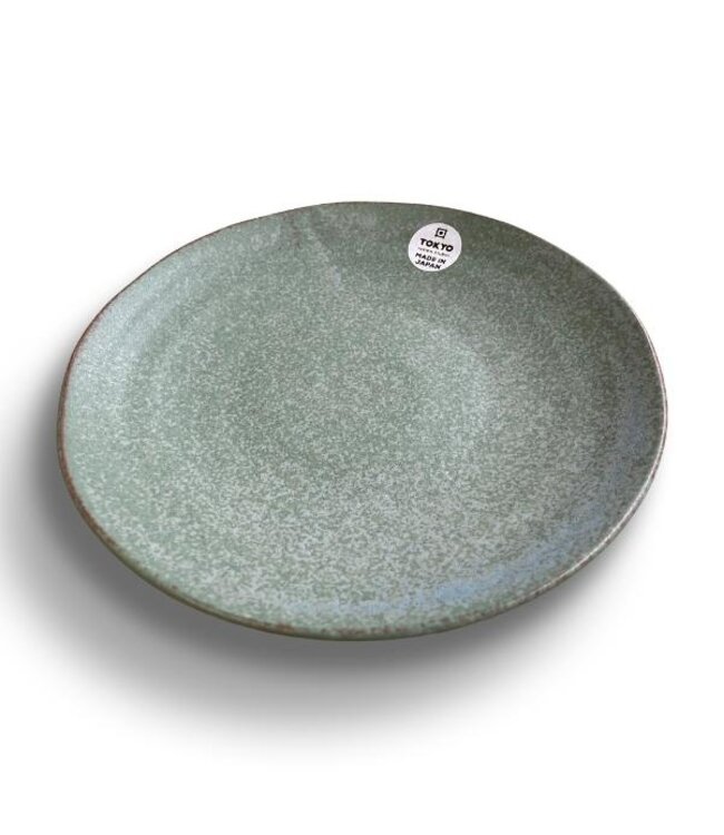 Dinerbord Vert Sauge | Groen | Aardewerk | Ø25,4cm | 3 Stuks