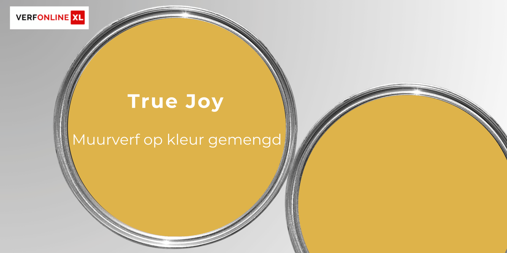 True joy muurverf op kleur gemengd