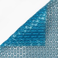 Zwembadzeil 2x3m noppenfolie Blauw/Zilver 400 micron Geobubble