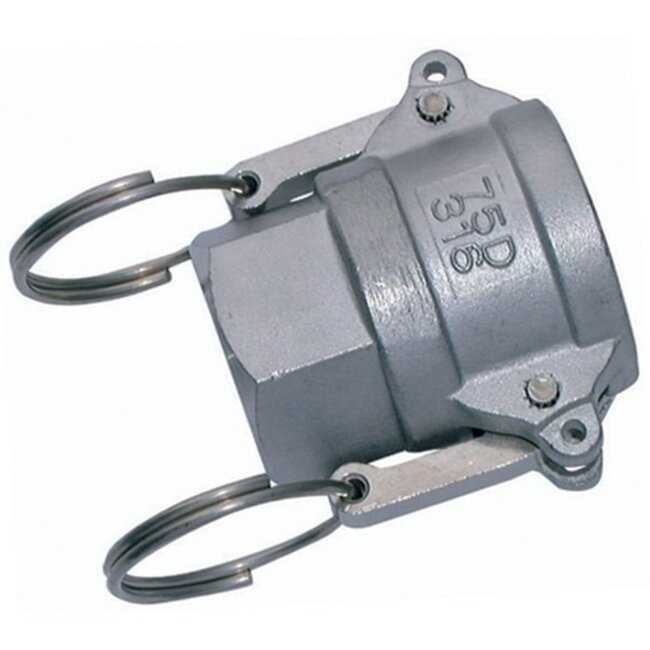 CAM & GROOVE KOPPELING - BSP Female Type D - RVS