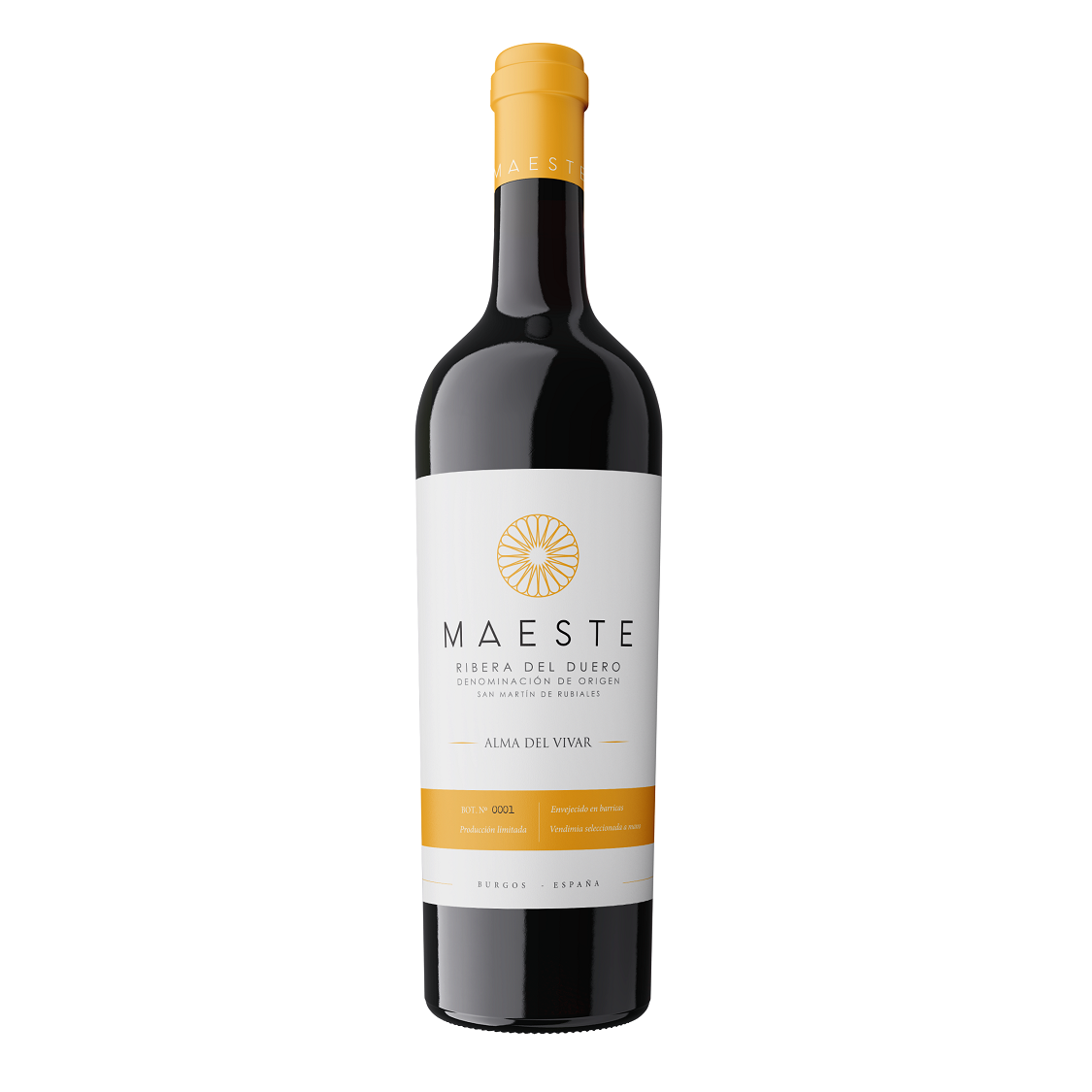 Bodegas Maeste Bodegas Maeste, Alma del Vivar, Ribera del Duero, 2020