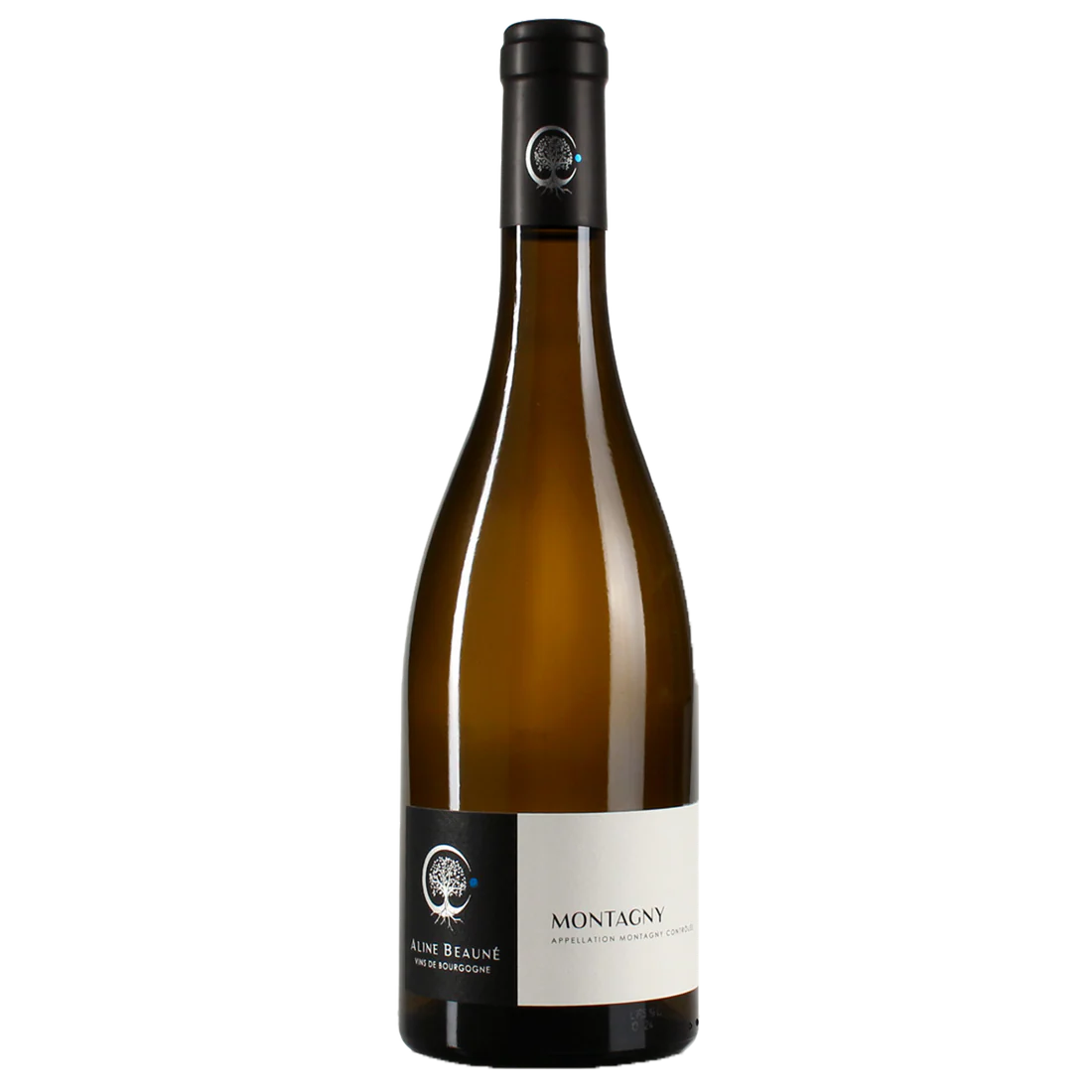 Aline Beauné, Montagny, 2023