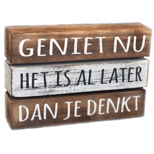 Houten Tekstplank / Tekstbord 16 x 24 cm "Geniet nu....." - Kleur Antique White & Naturel 