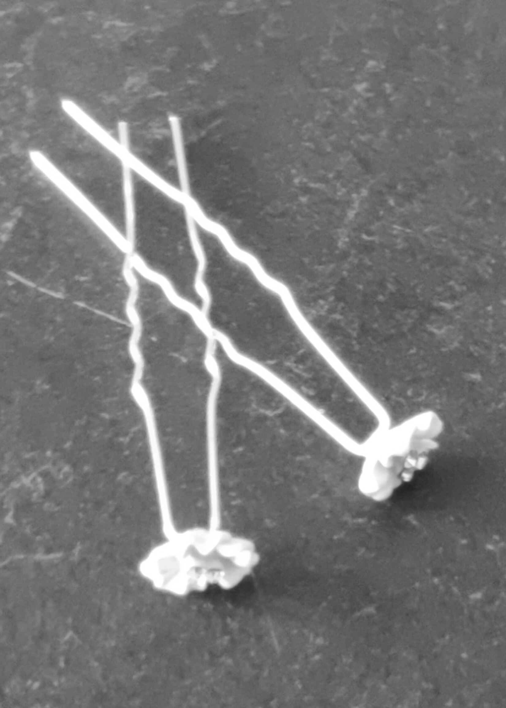 PaCaZa PaCaZa Hairpins - Zilverkleurig - Flower met Diamantjes - Set van 5