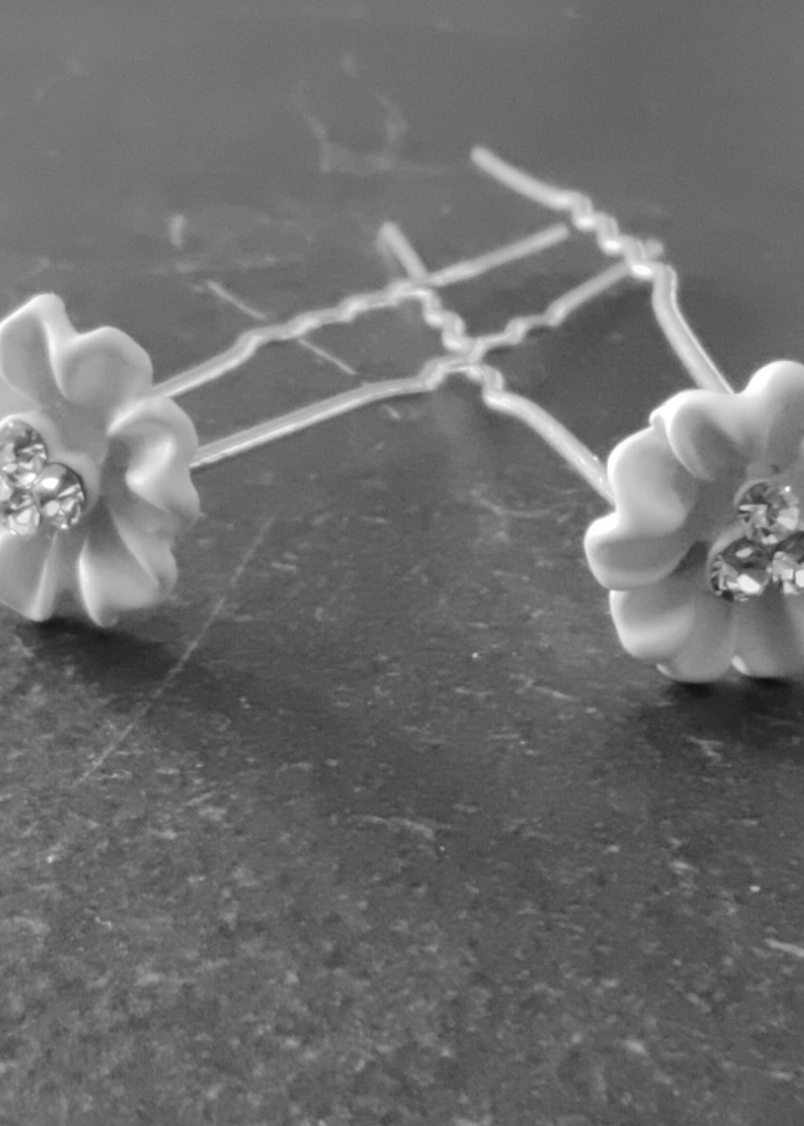 PaCaZa PaCaZa Hairpins - Zilverkleurig - Flower met Diamantjes - Set van 5