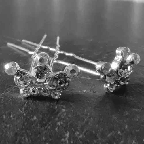 Zilverkleurige Hairpins - Kroontje met Diamantjes - 5 stuks 