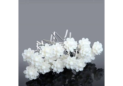 Elegante Zilverkleurige Hairpins met Chique Wit Bloemetje - 5 stuks 