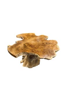  Champignon de table basse