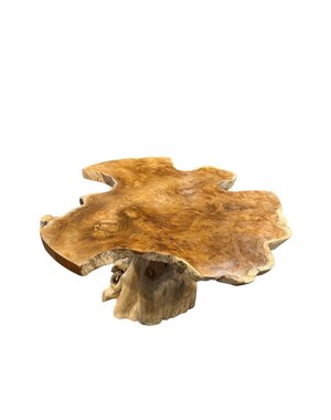  Champignon de table basse