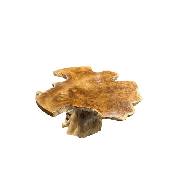 Champignon de table basse