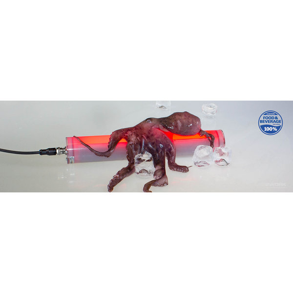 INROLED 50 - CleanPro RGB-W