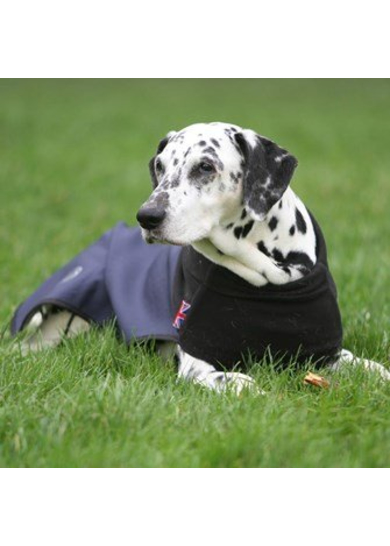 Scruffs thermal dog clearance coat