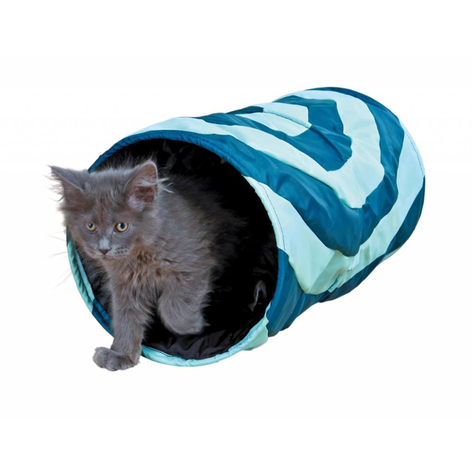 Zo veel Tips Helaas Speeltunnel voor katten - Huisdierspeciaalzaak Bulten-de Beijer