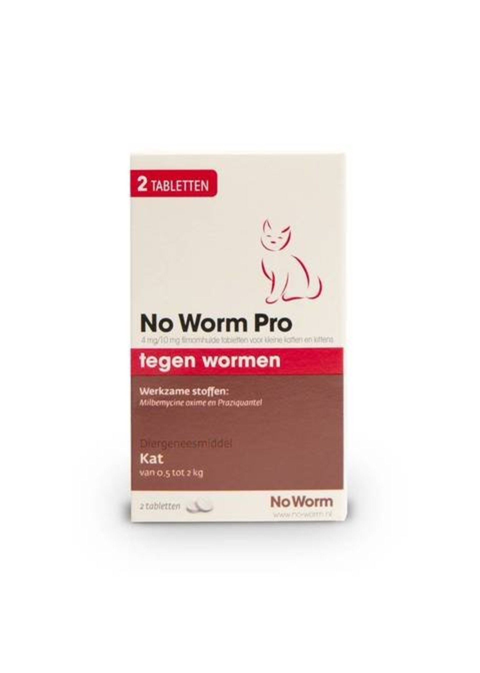 No worm Pro kitten