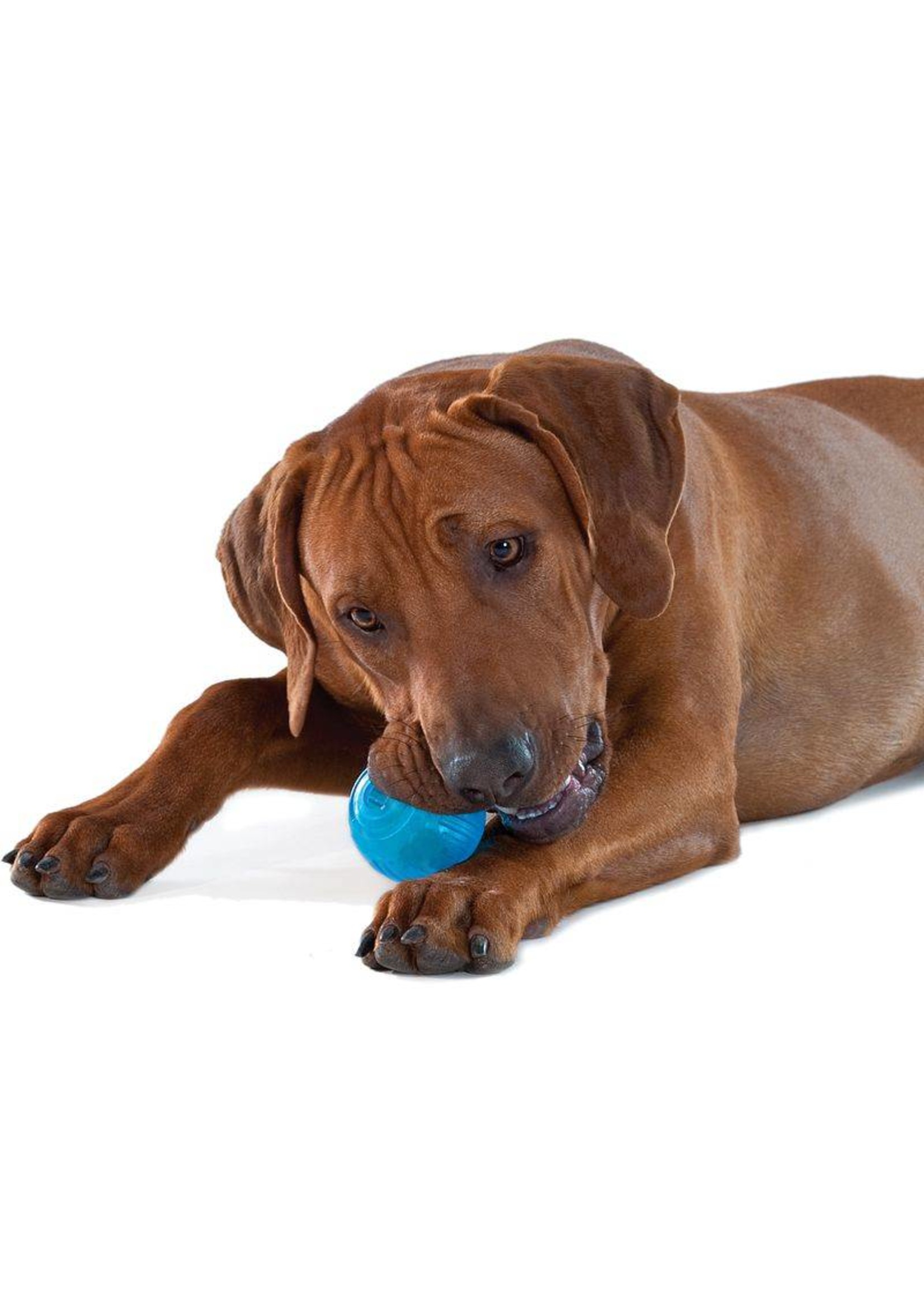 Petstages orka tennis ball cheap