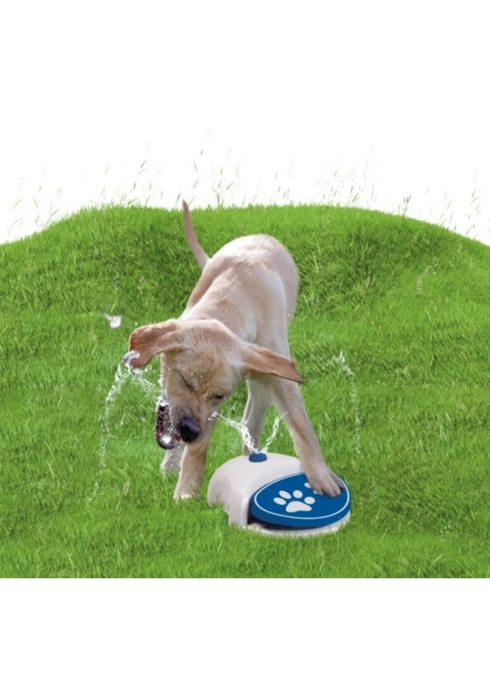 CoolPets Splash Water Fountain