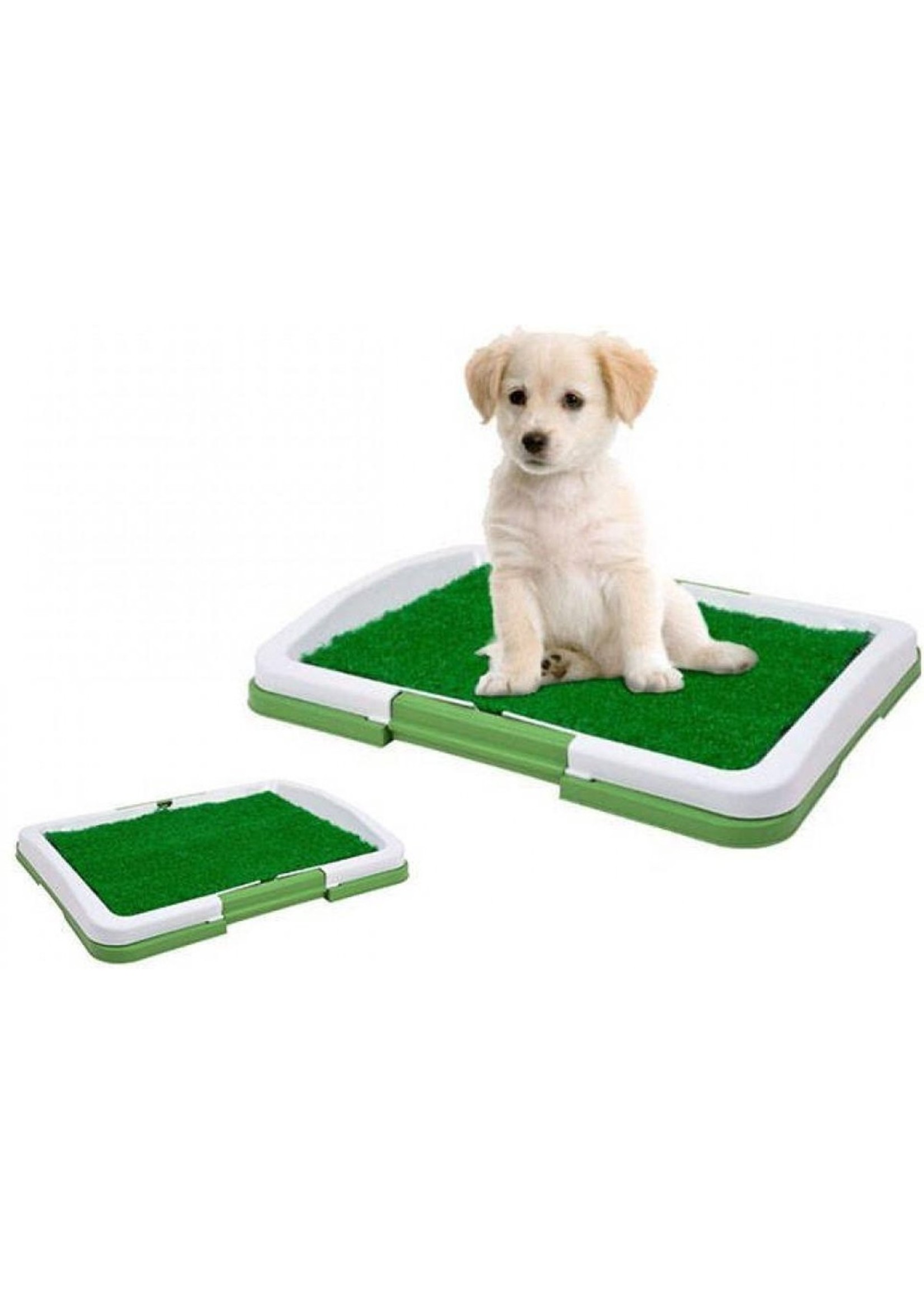 Honden indoor toilet