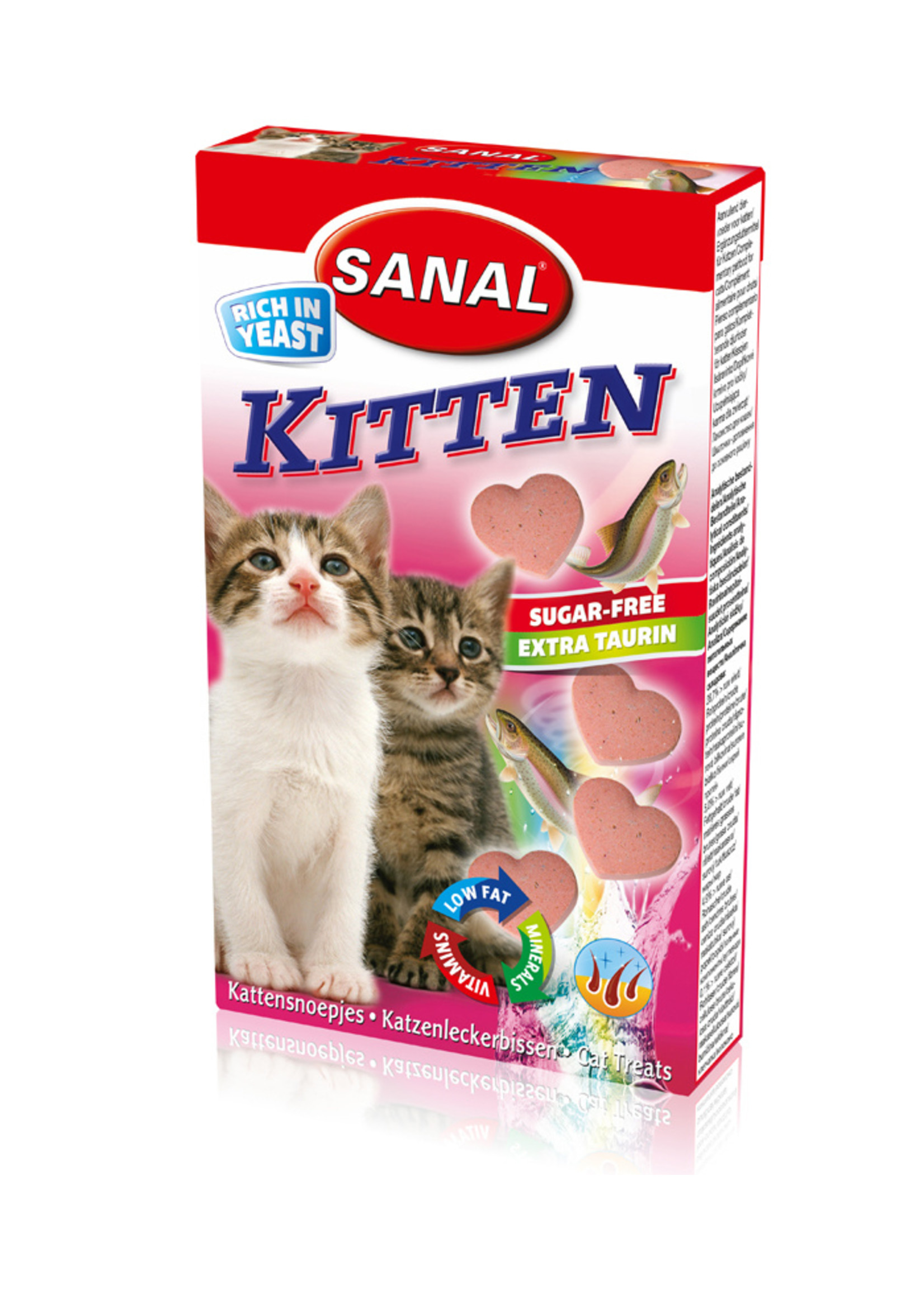 Sanal Kitten