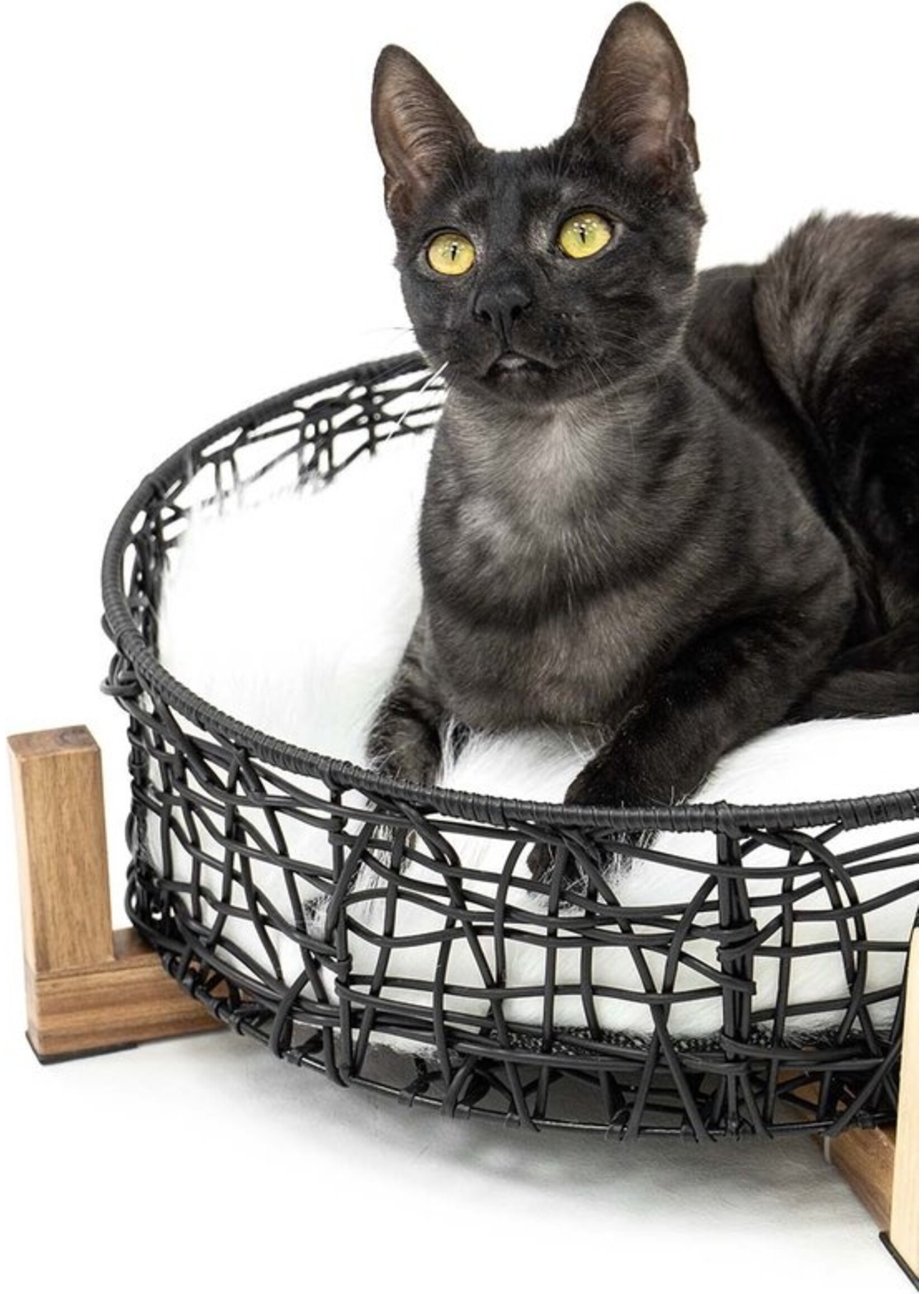 Kattenmand London Zwart