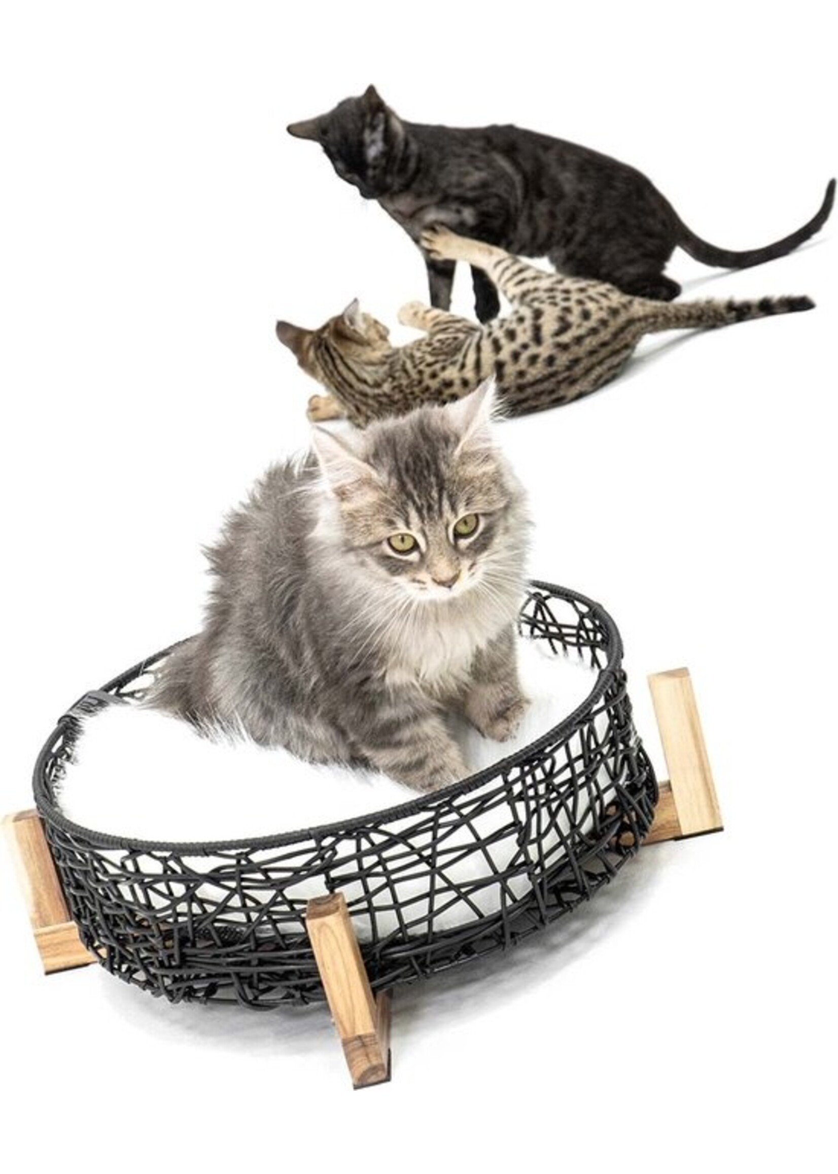 Kattenmand London Zwart