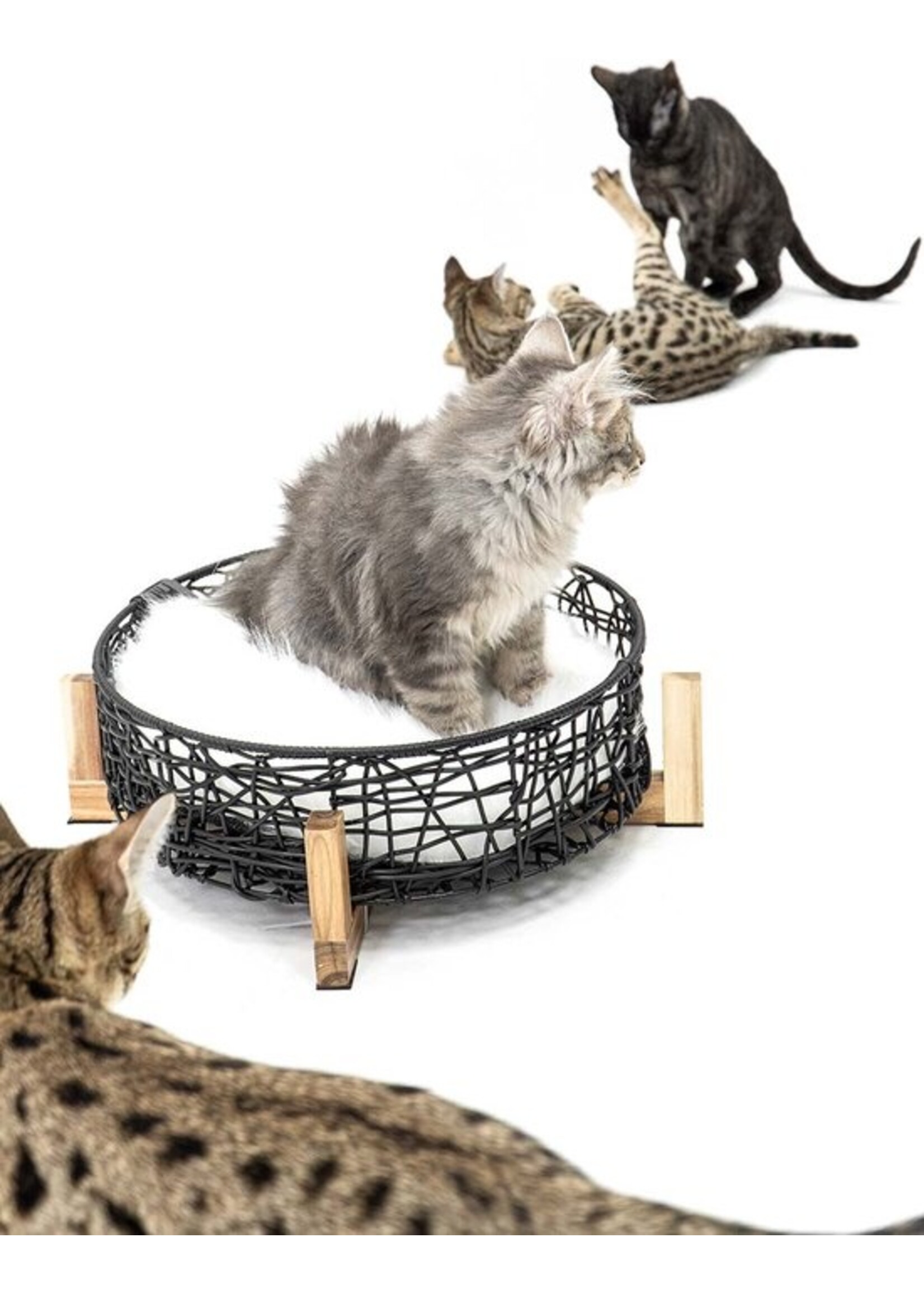 Kattenmand London Zwart