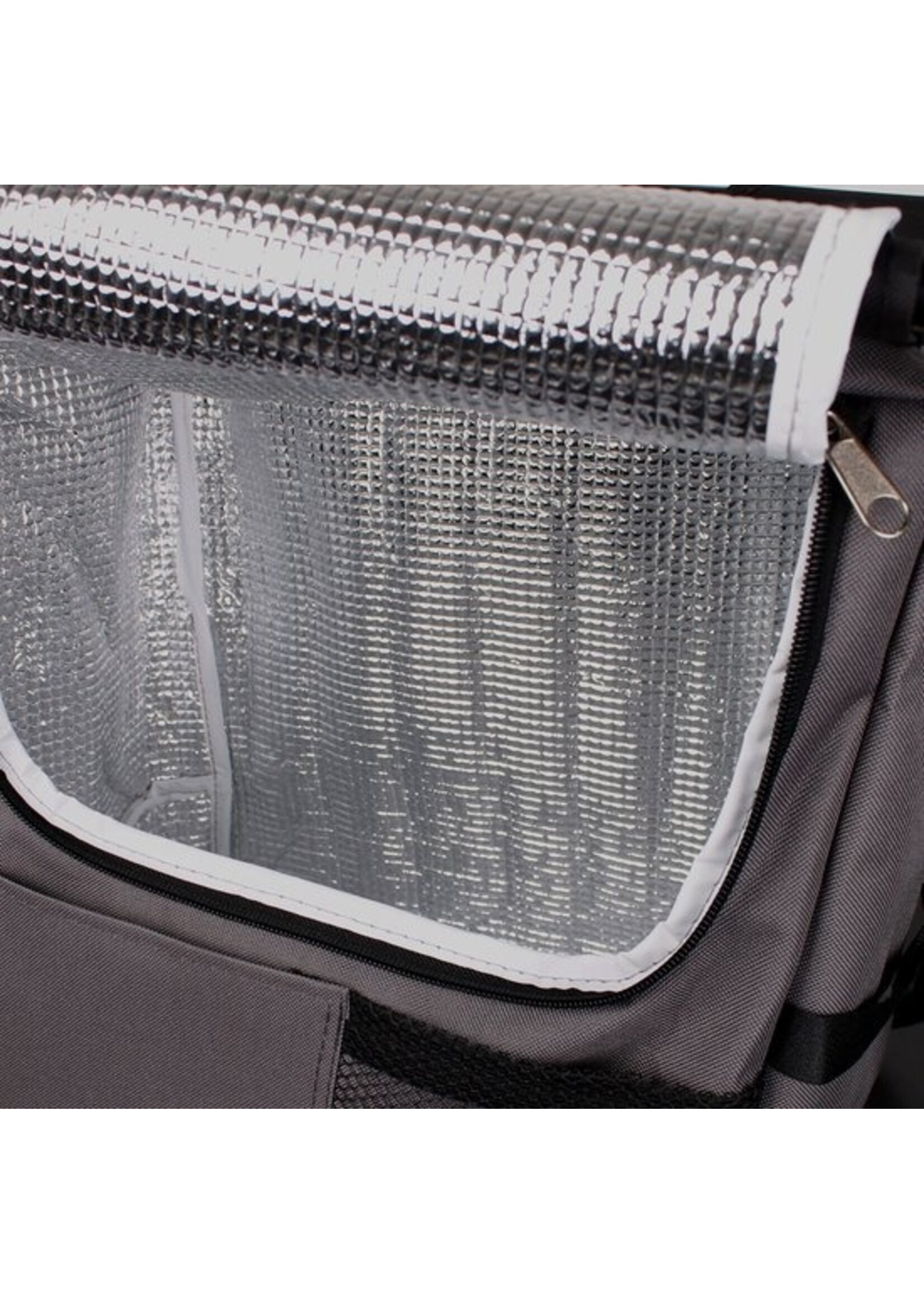 Vis of festival krukje, met koeltas