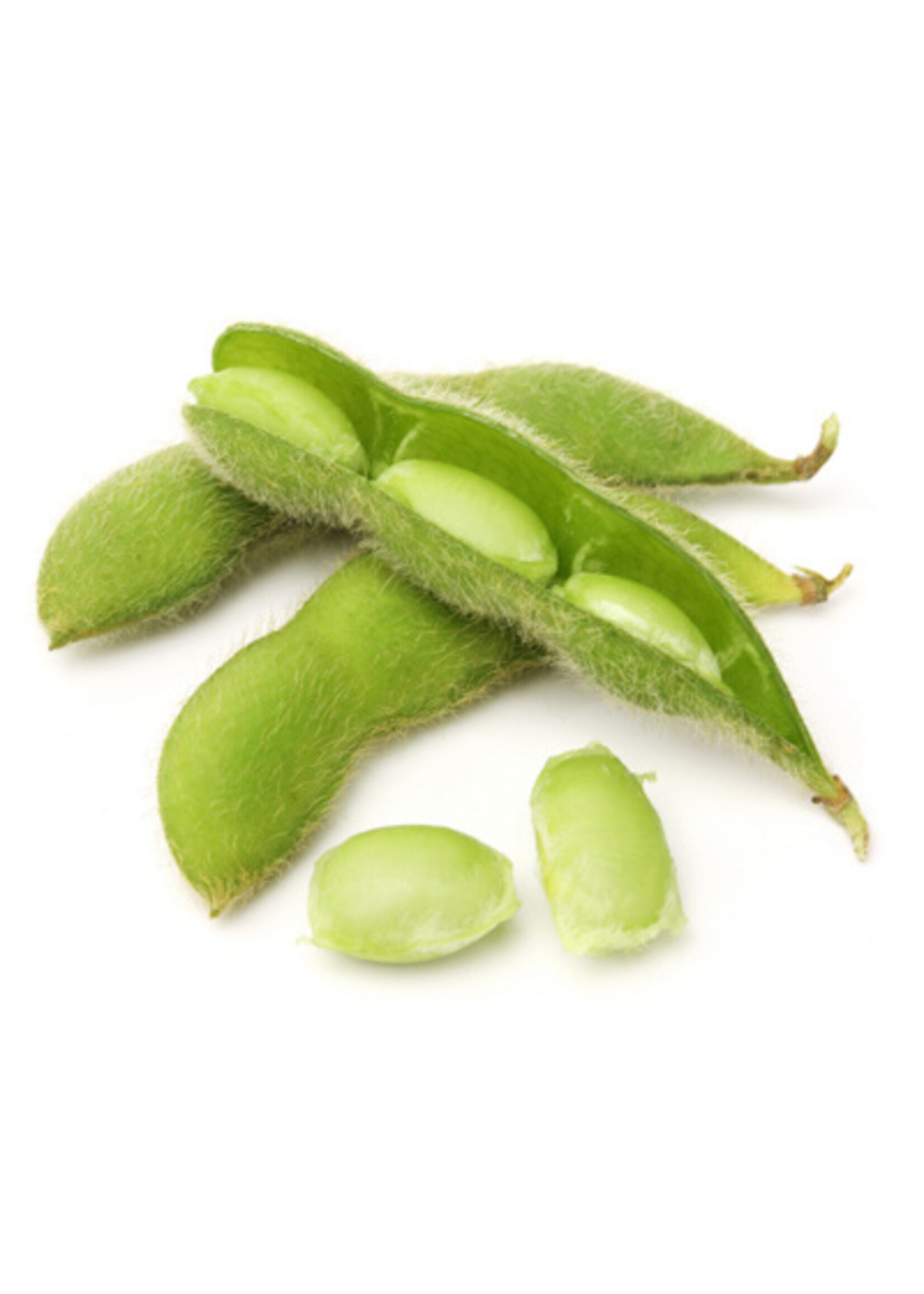 Tofu kattenbakvulling 5 liter.