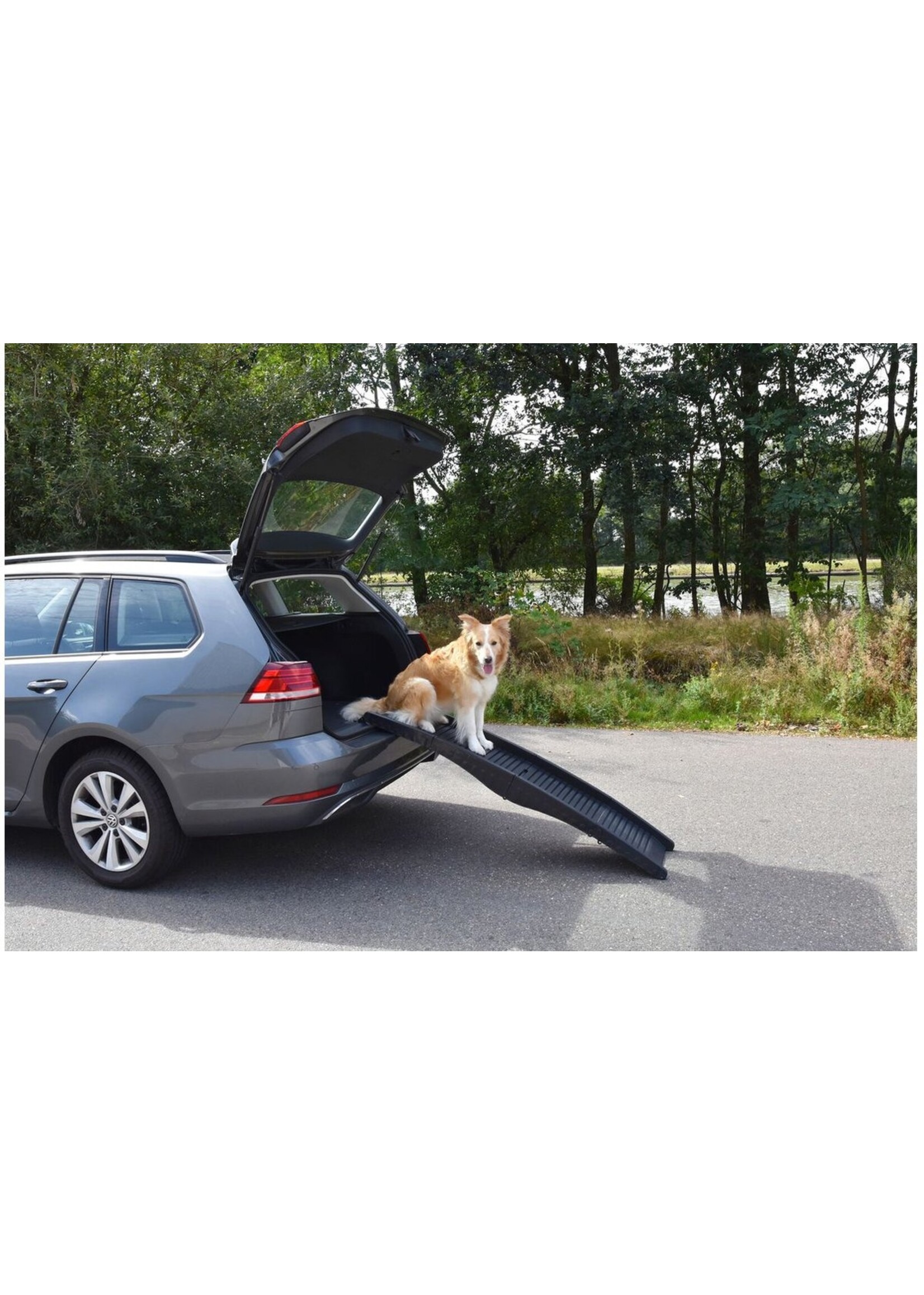 Hondenloopplank Inklapbaar