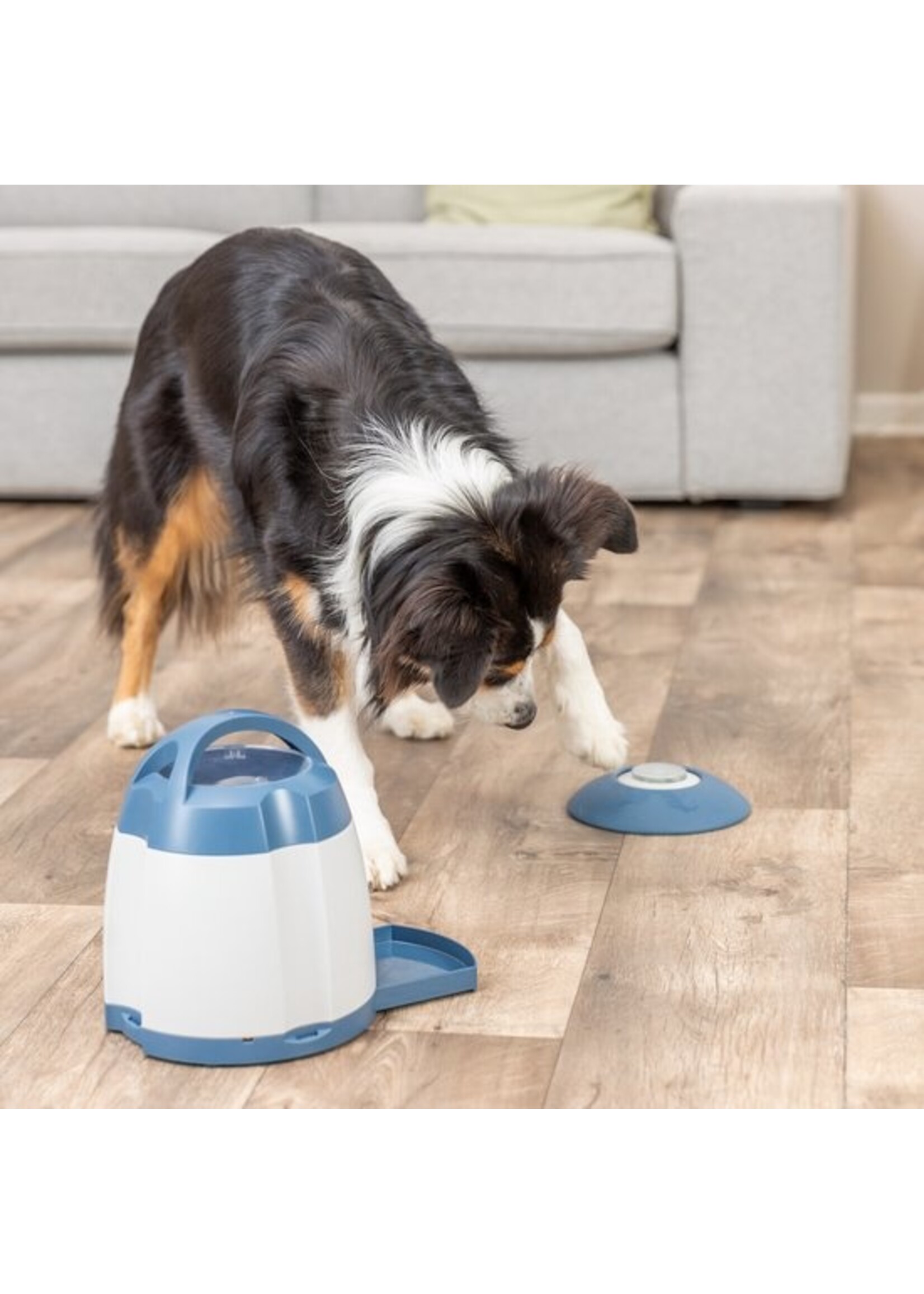 Trixie Dog Activity Memory Trainer - Honden Speelgoed Intelligentie - 20 x 24 cm