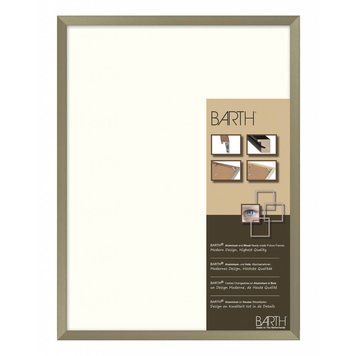 Bruin/grijze Barth wissellijst 1125 GR Bruin/grijze Barth wissellijst 1125 GR