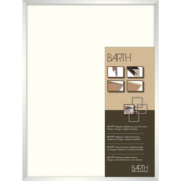 Satine Barth wissellijst 916 SA Satine Barth wissellijst 916 SA