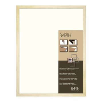 Blank populieren houten Barth wissellijst 209-777 Blank populieren houten Barth wissellijst 209-777