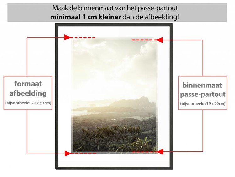 Fotolijst A3 Formaat 29 7x42 Cm Champagne Pro Line Wissellijst Small 