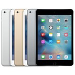 iPad Mini 4 Accessoire
