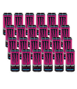 Recover Wild Berry 24x458ml