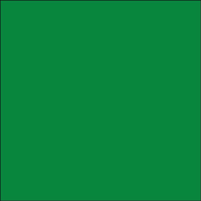 Oracal 631: Light green Mat